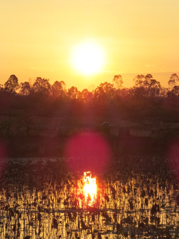 揪住几缕霞光织锦裳 ( 二 )