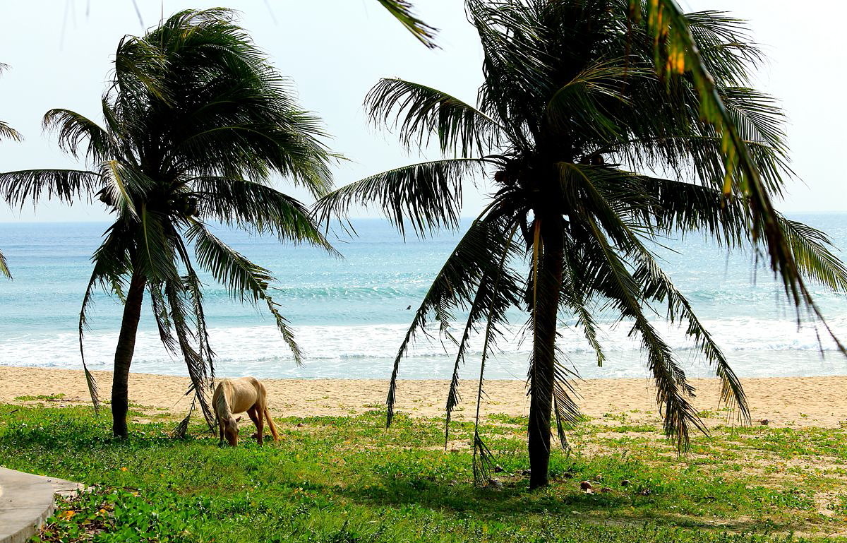 海南●万宁日月湾（续辑）