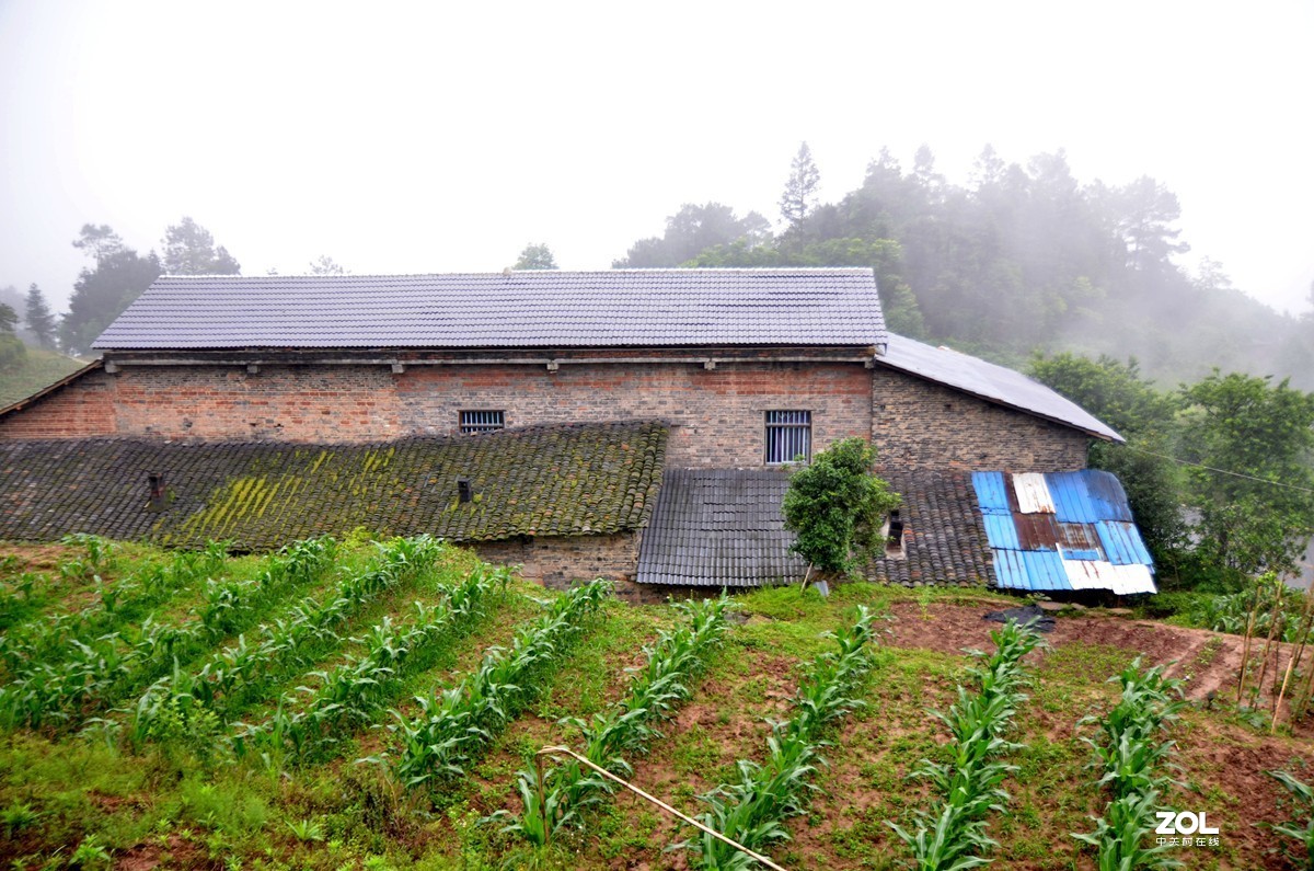 綦江横山游记(二)