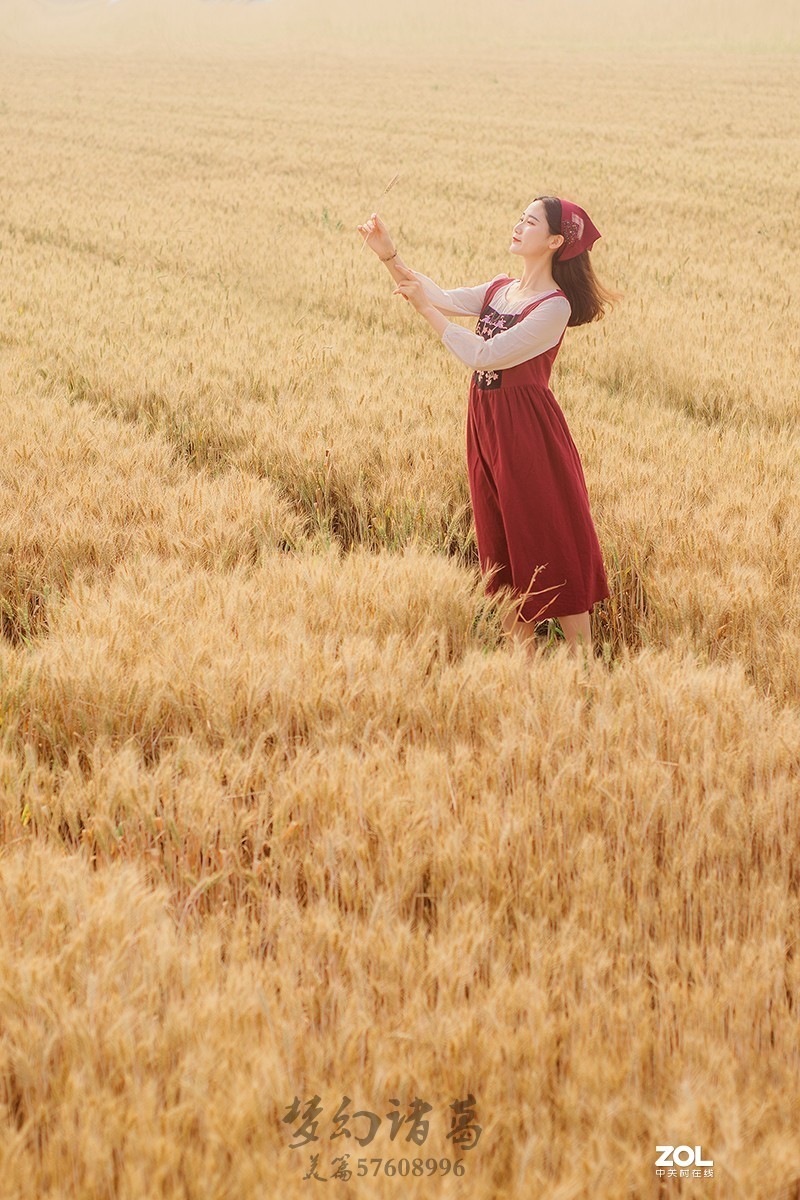 【梦幻美拍】夏日轻风-守望麦田