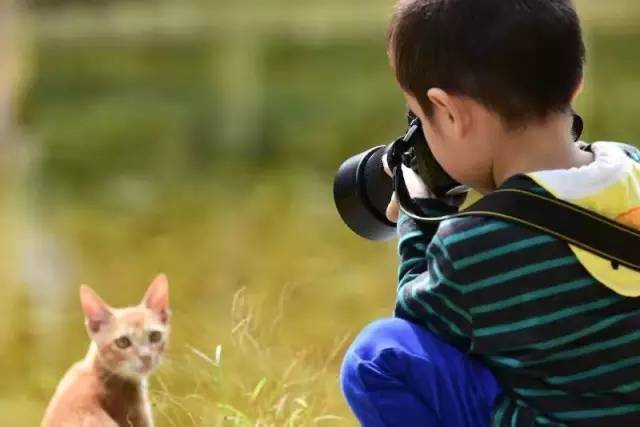 旅拍相机哪款好？最适合旅拍的相机，选它们没得说！