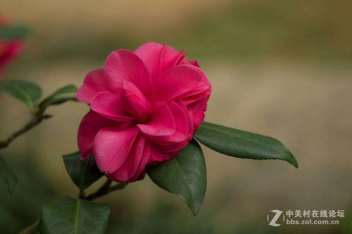 第一次试用手动头