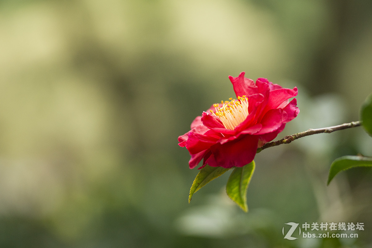 第一次试用手动头