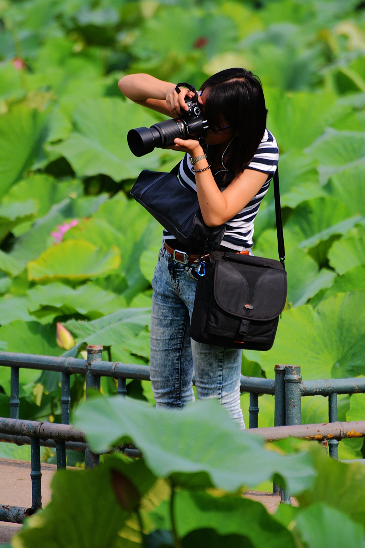 #2014摄影精彩回顾#——我的成长之路