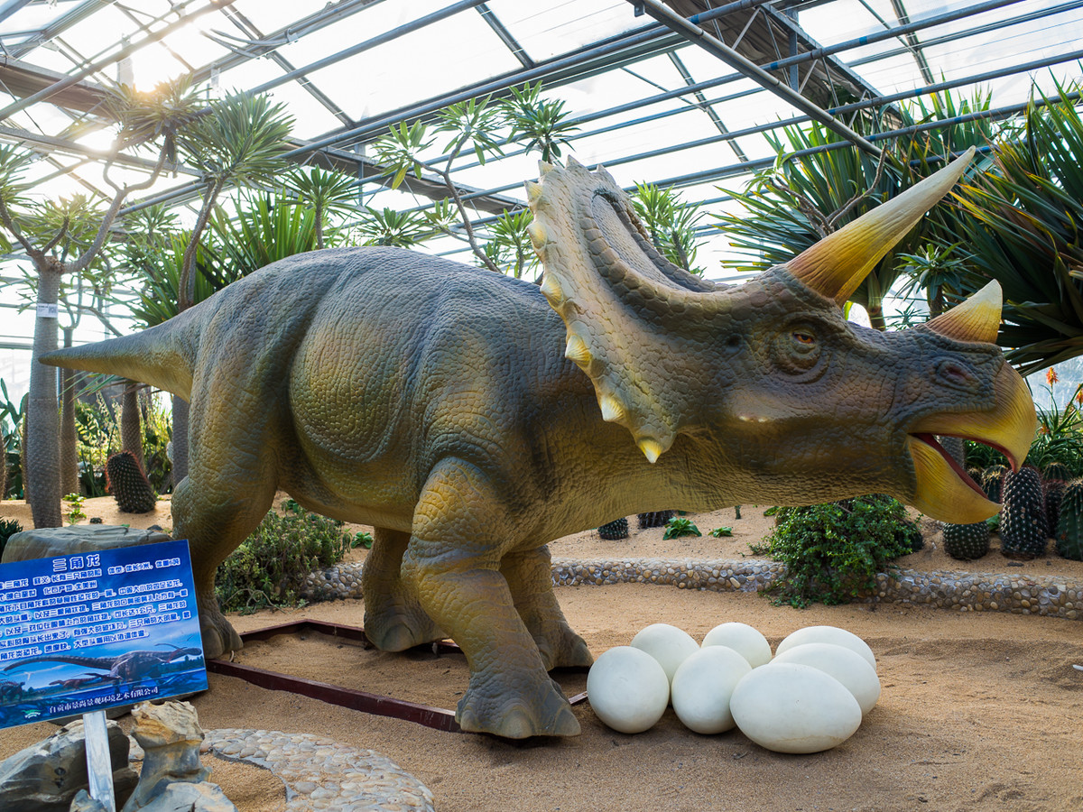 GR越用越爱------花卉大观园