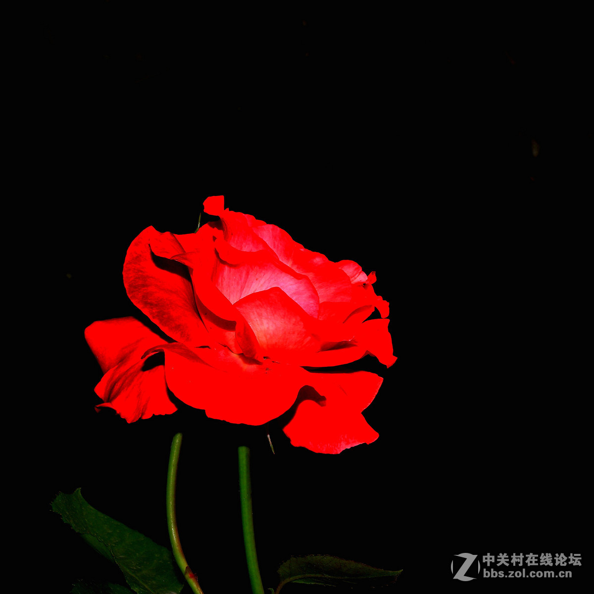 一枝独秀——一组早期练机帖