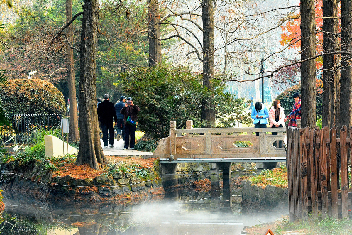 尼康7100和卡尔察司 85mm F/1.4