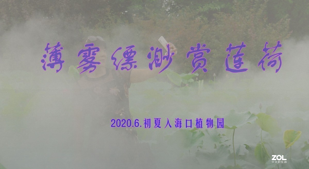 薄雾缥渺赏莲荷