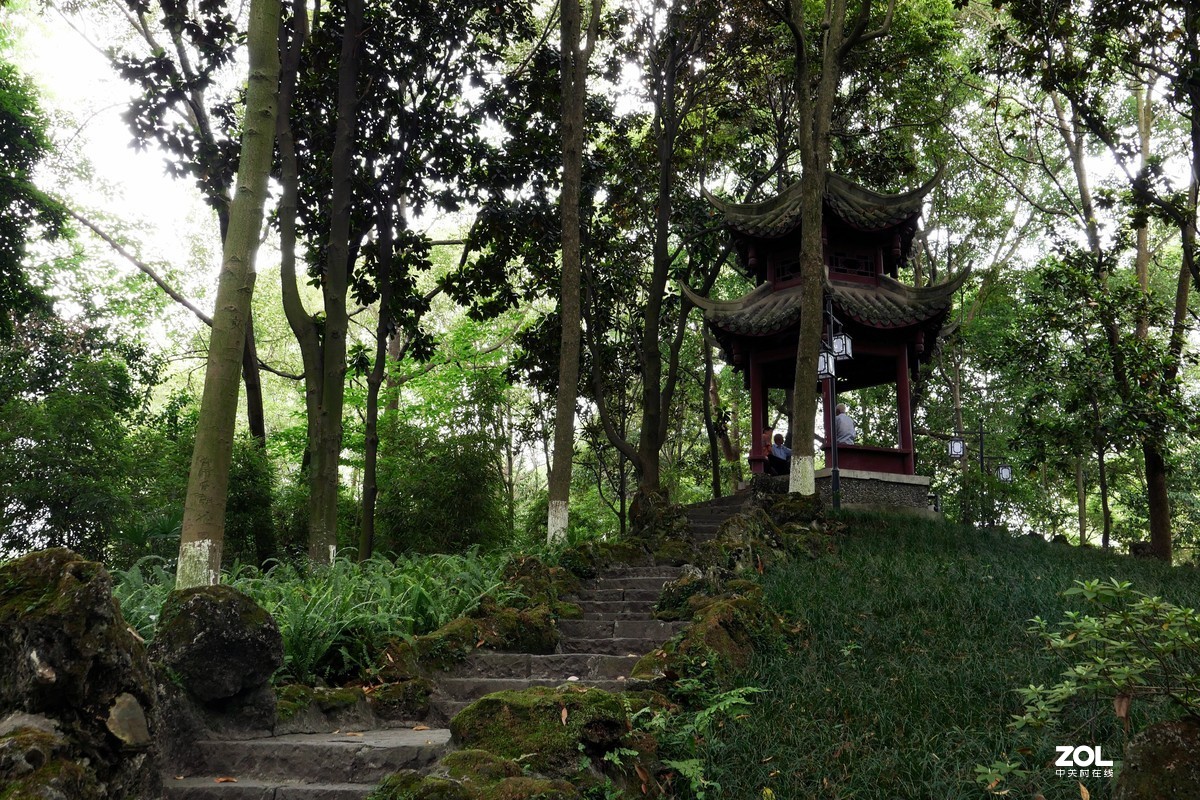 郫都区石牛公园湖里没有水