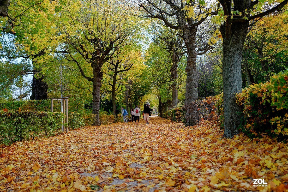 奥地利维也纳（完）