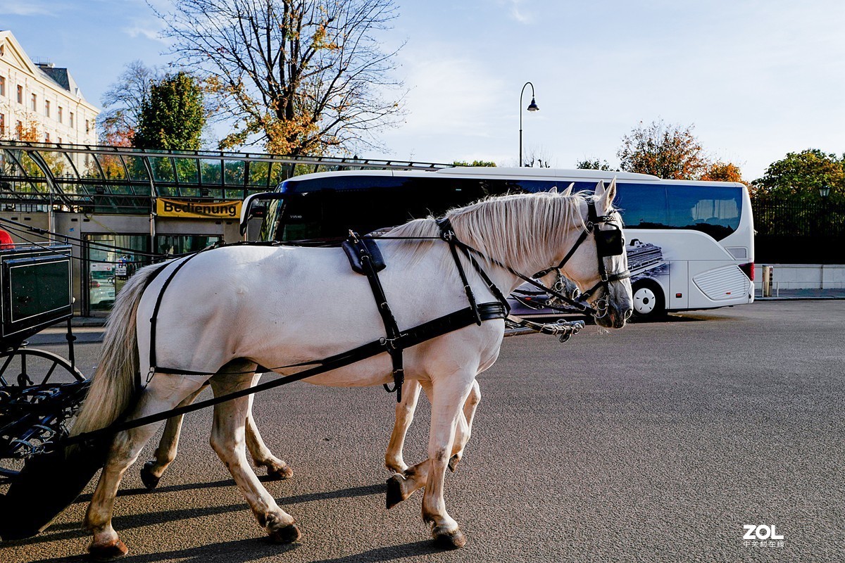 奥地利维也纳（完）