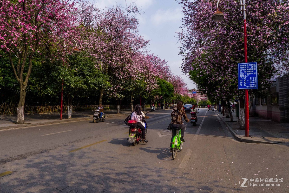 好久没来小5星空(中国)发帖了怪想念大家的，发组最近用小5拍的图片留作纪念吧~