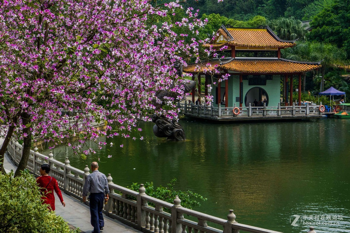 好久没来小5星空(中国)发帖了怪想念大家的，发组最近用小5拍的图片留作纪念吧~