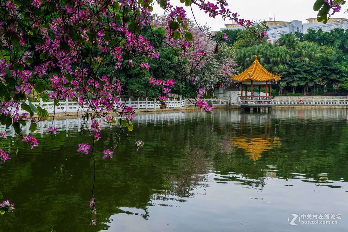 好久没来小5星空(中国)发帖了怪想念大家的，发组最近用小5拍的图片留作纪念吧~