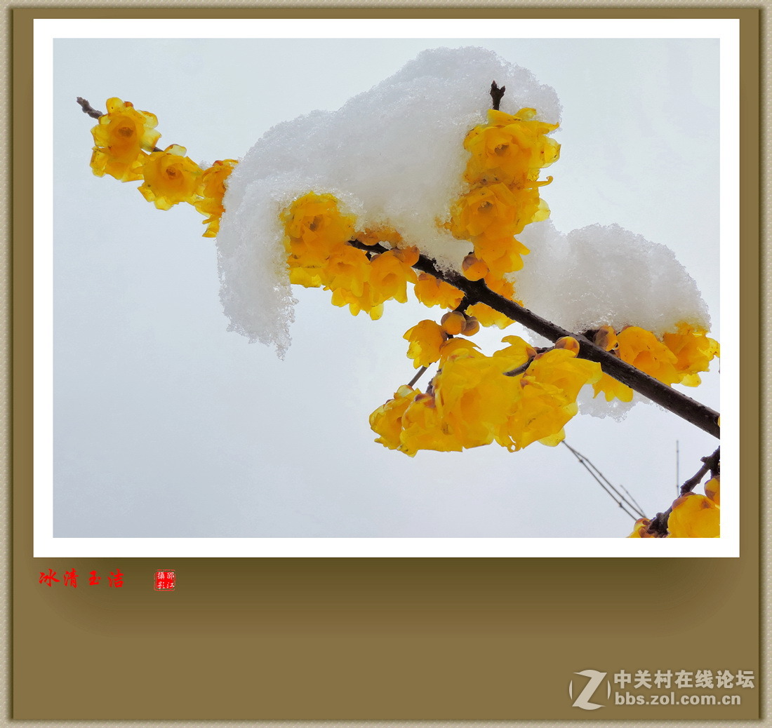 冰清玉洁