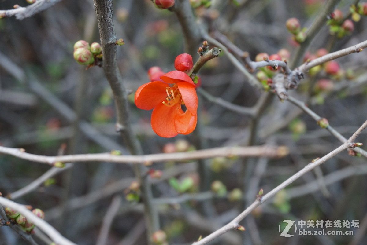 奶昔5  新手试拍