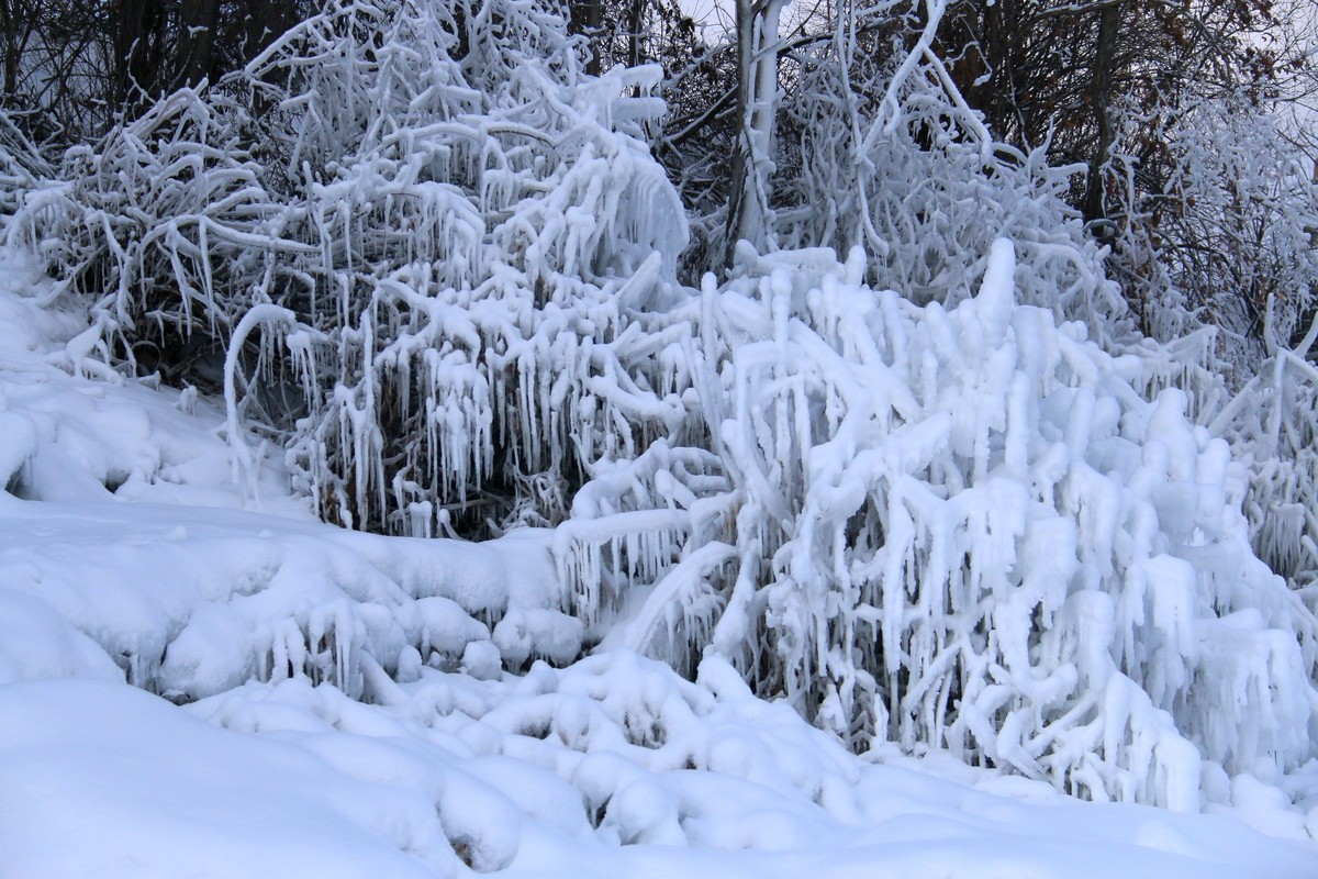今天随拍一组长白山雪雕，雪景