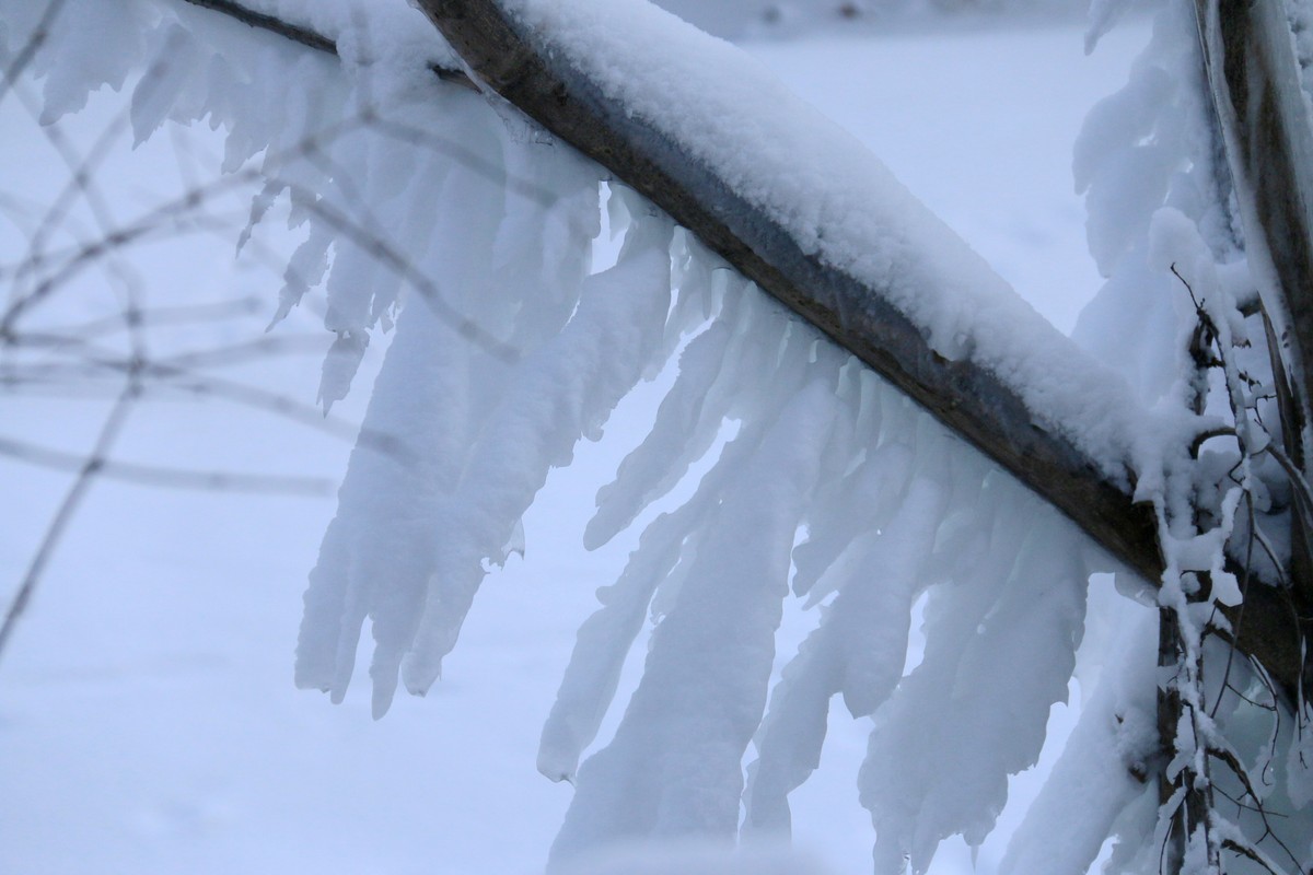 今天随拍一组长白山雪雕，雪景
