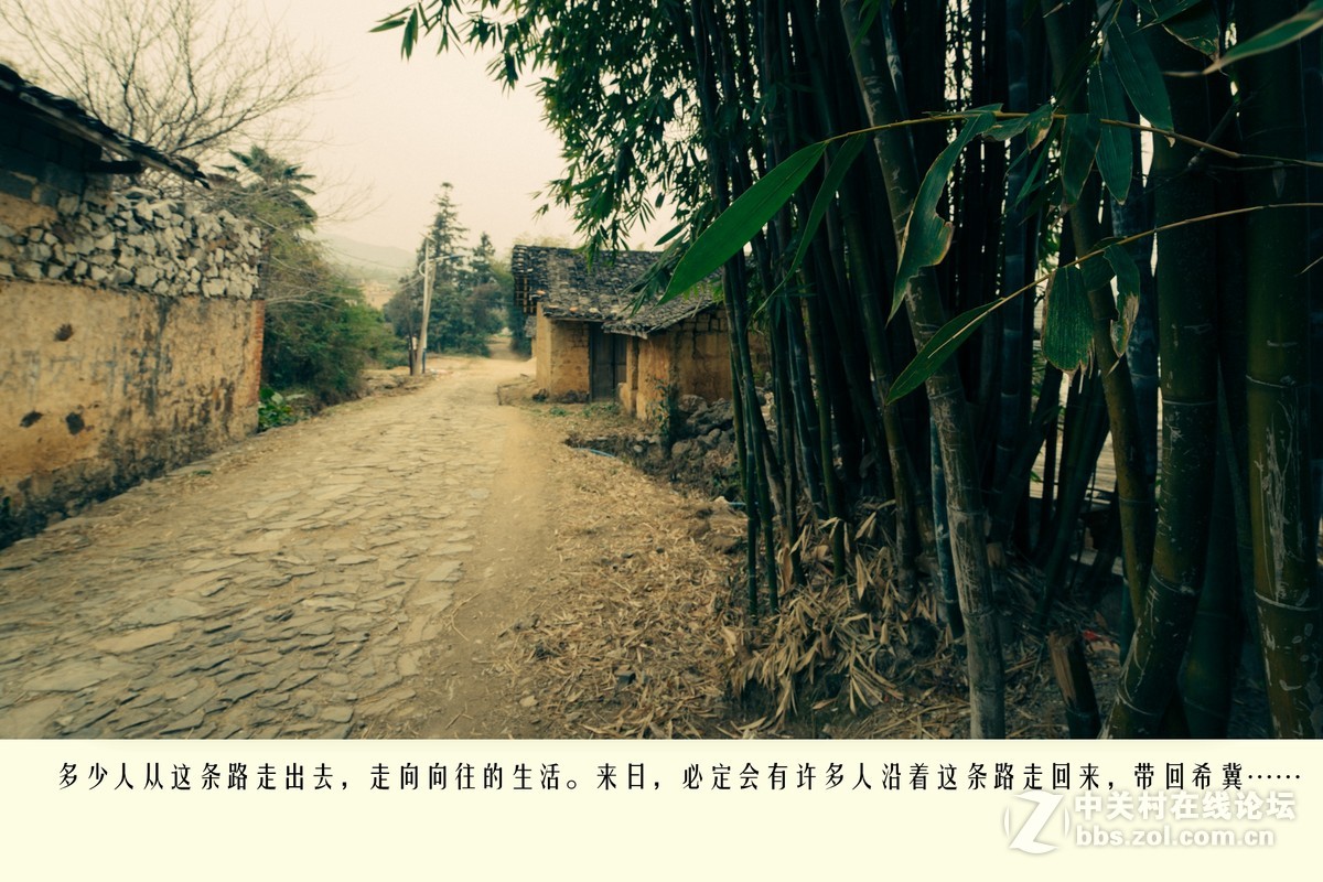 老区