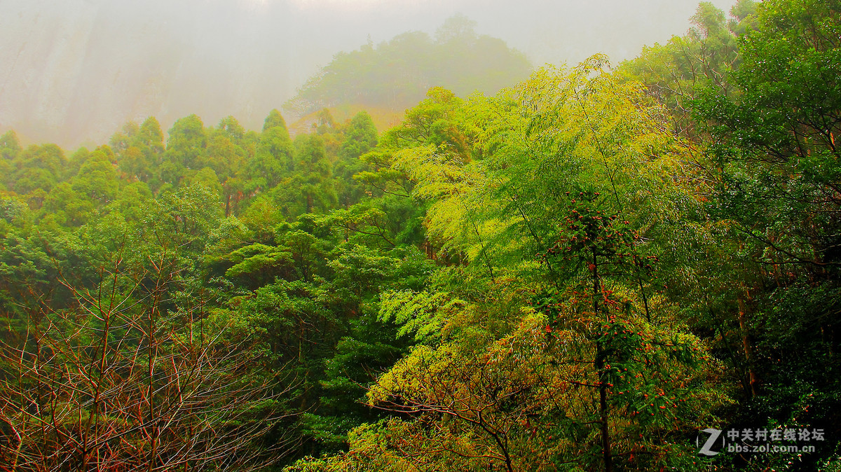 烟雨雁荡山之大龙湫2。