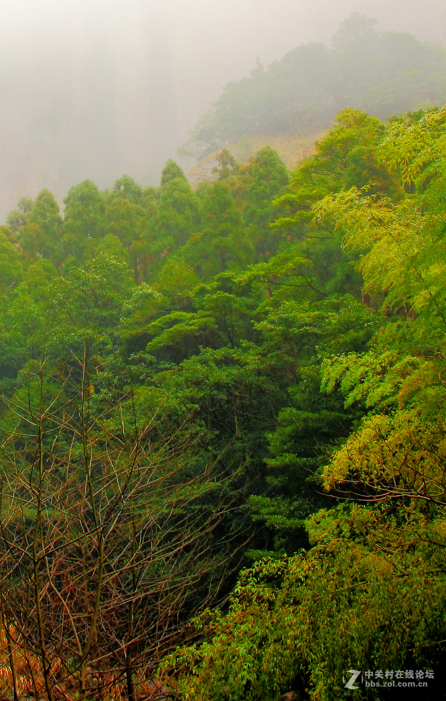 烟雨雁荡山之大龙湫2。