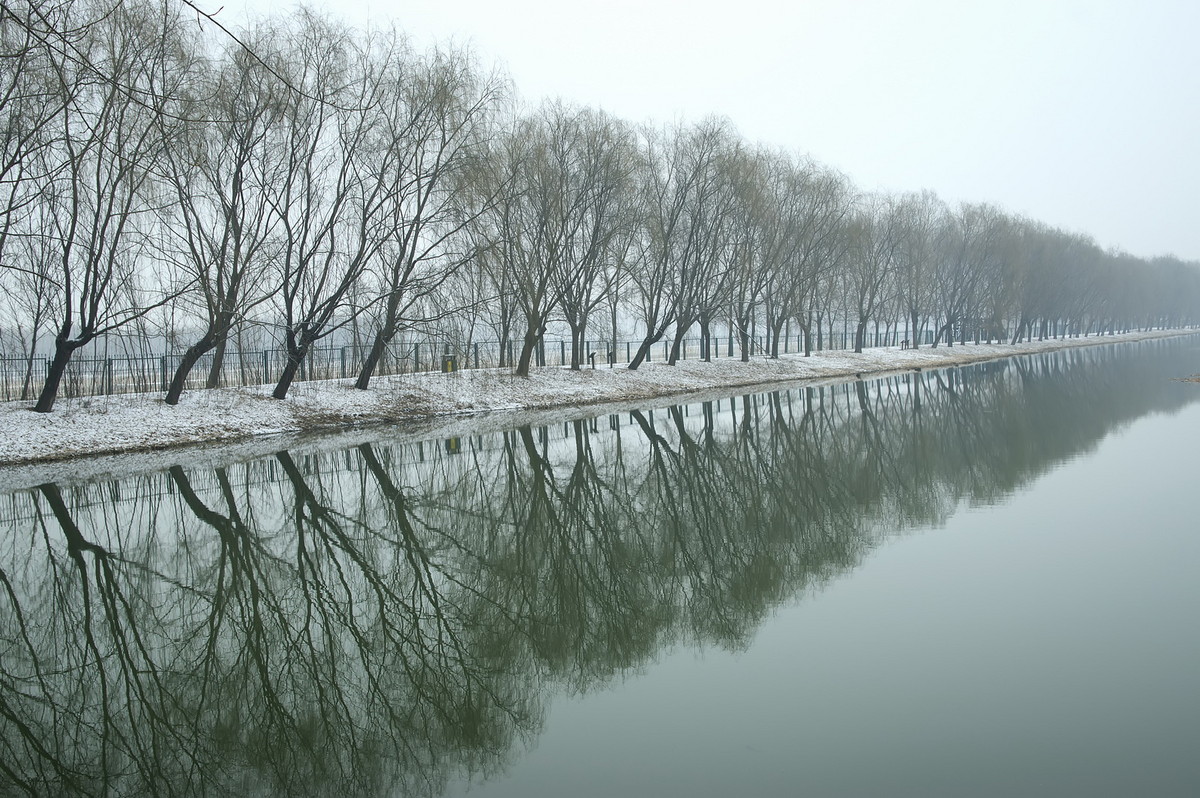 雪後溼地公園