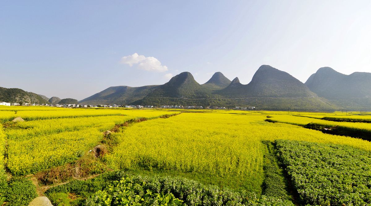 菜花盛开的村庄---兴义万峰林纳灰村