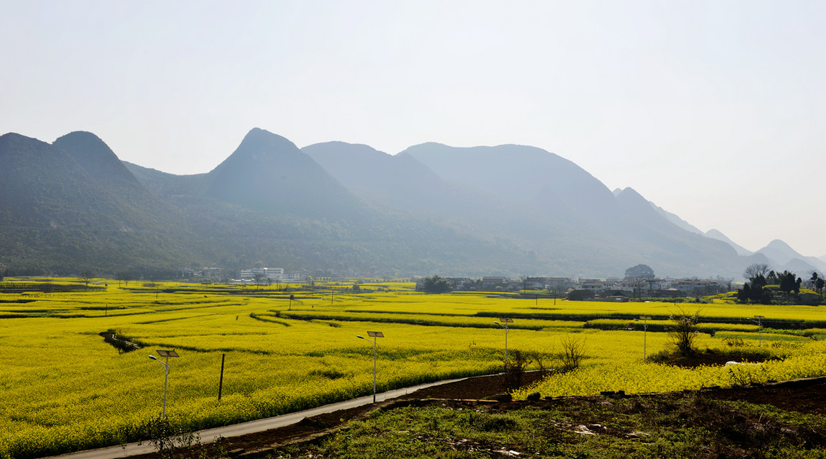 菜花盛开的村庄---兴义万峰林纳灰村