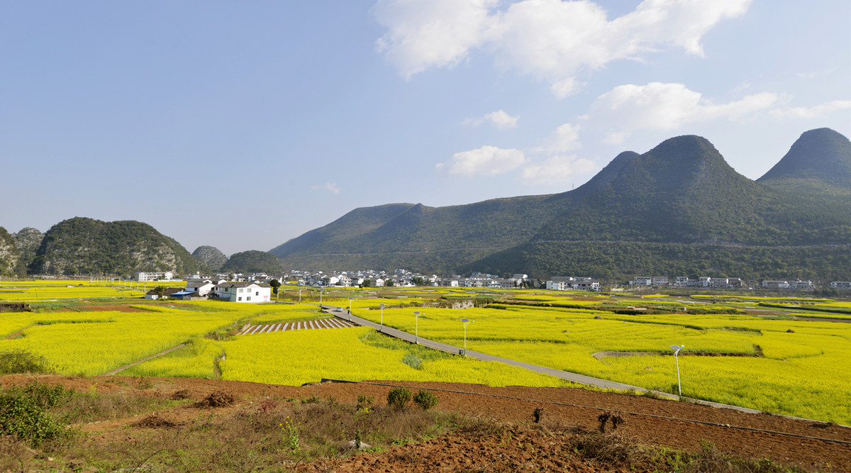菜花盛开的村庄---兴义万峰林纳灰村