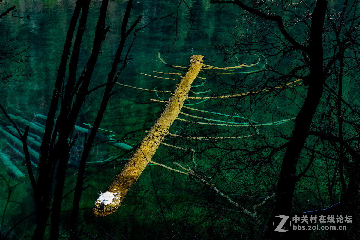 九寨沟的冬景  3