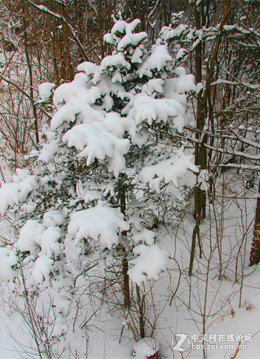 游滑雪场