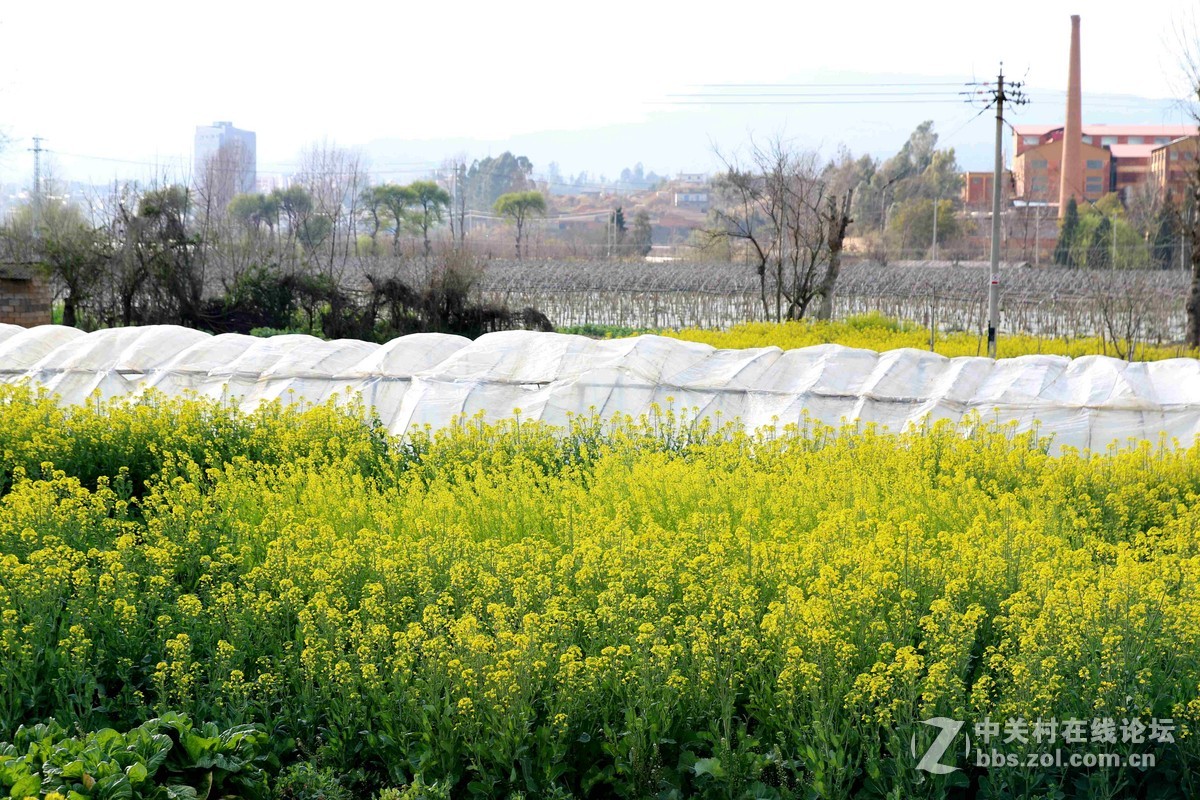 #回家#过年的本质——常回家看看