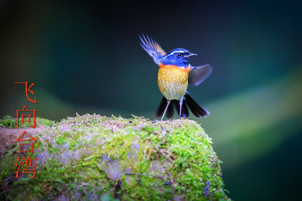 #版主坐堂# 佳能月度精选-2015年1月份优秀作品选编