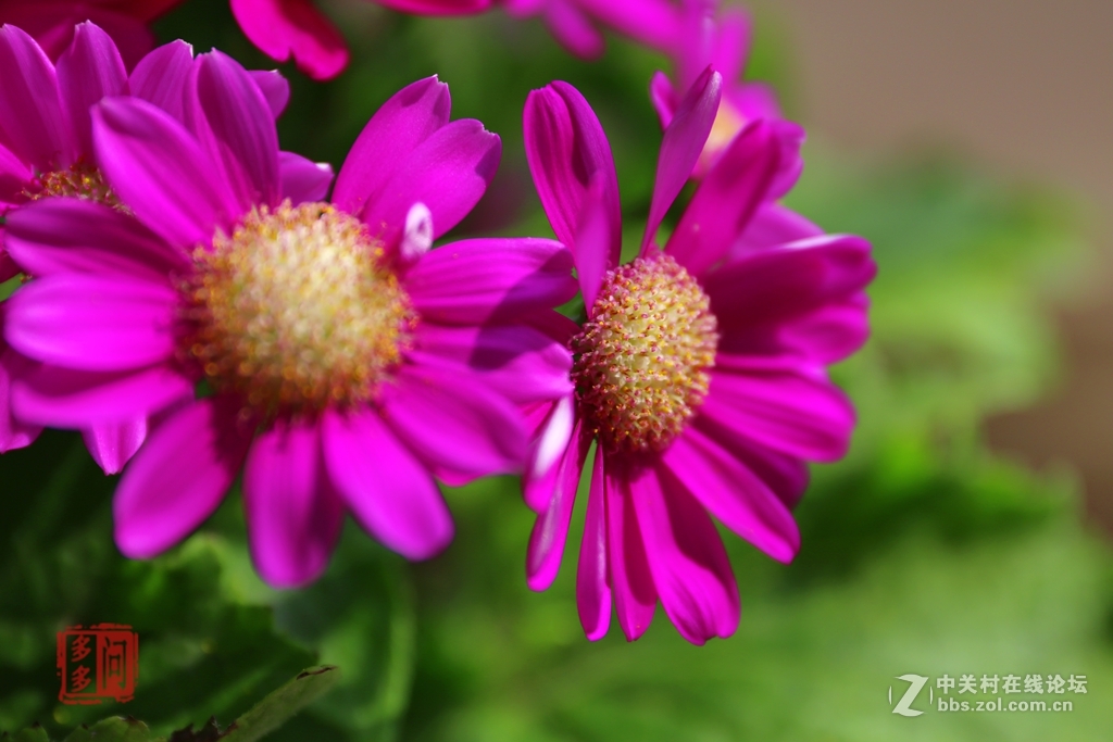 新入佳能6D机试怕