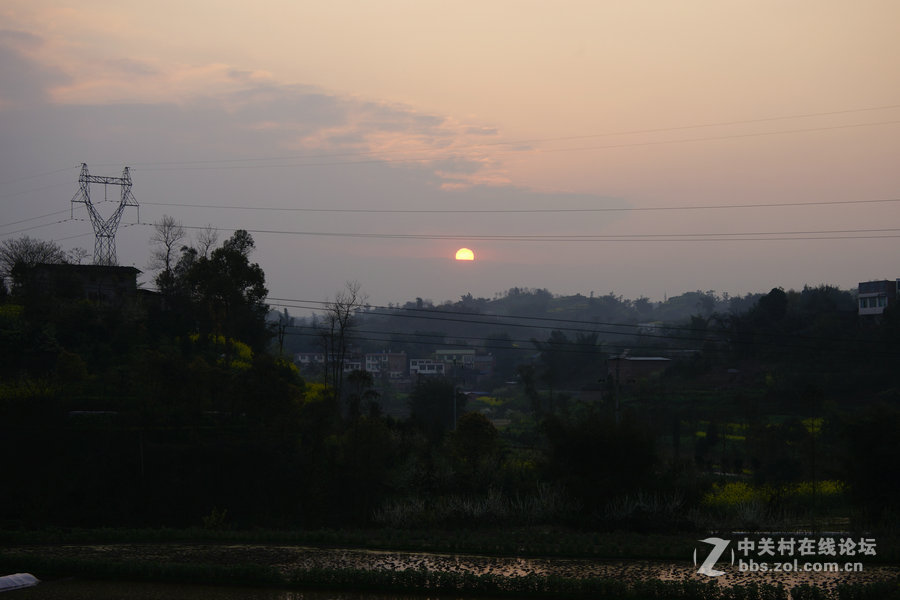 扫乡纪实  三 、那片林那片山