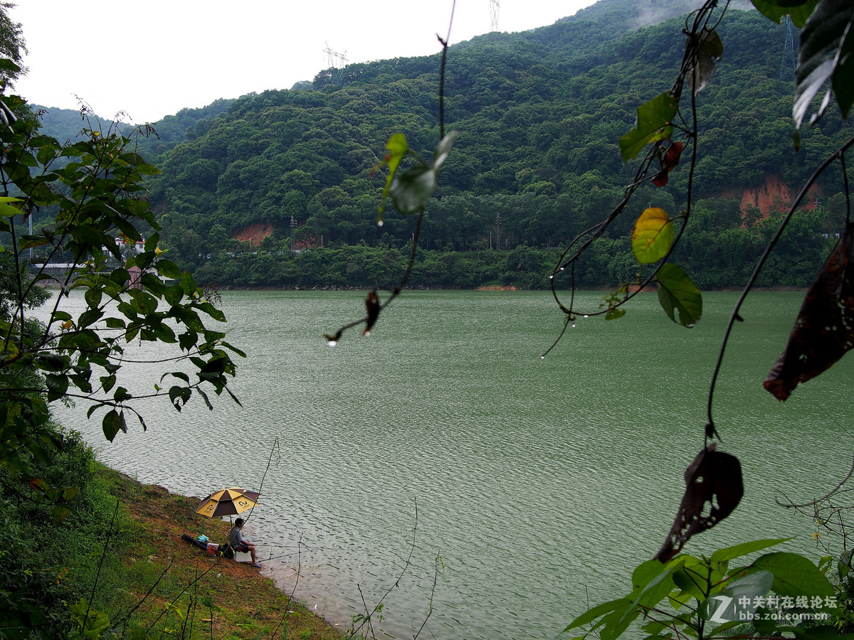 野趣——周日远足几片