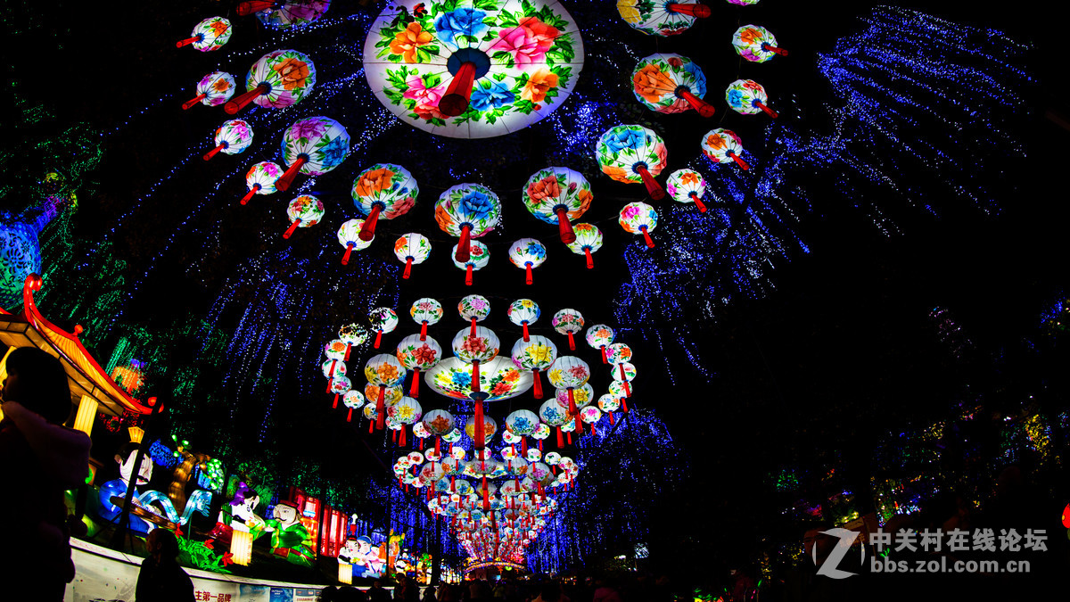 带着鱼眼看灯会