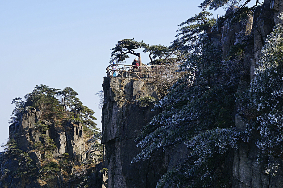 黄山松-中关村在线摄影论坛