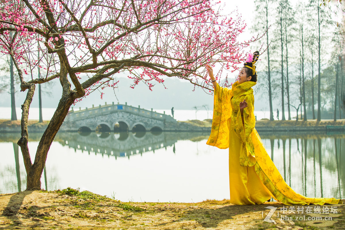 古代女子赏梅花图片图片