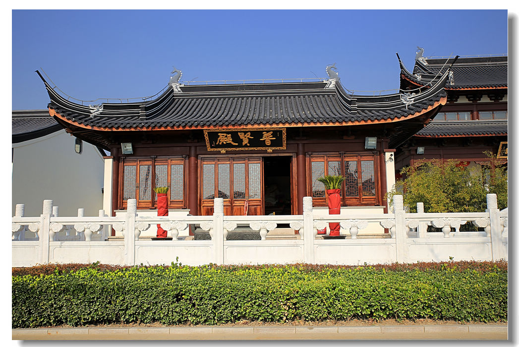 上海奉贤海湾随拍！1