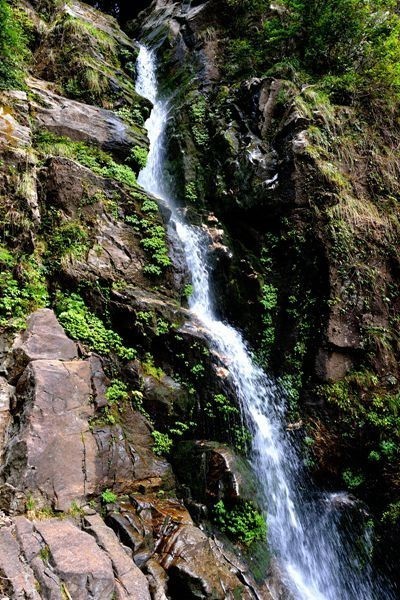 2019年8月20日江西宜春市明月山