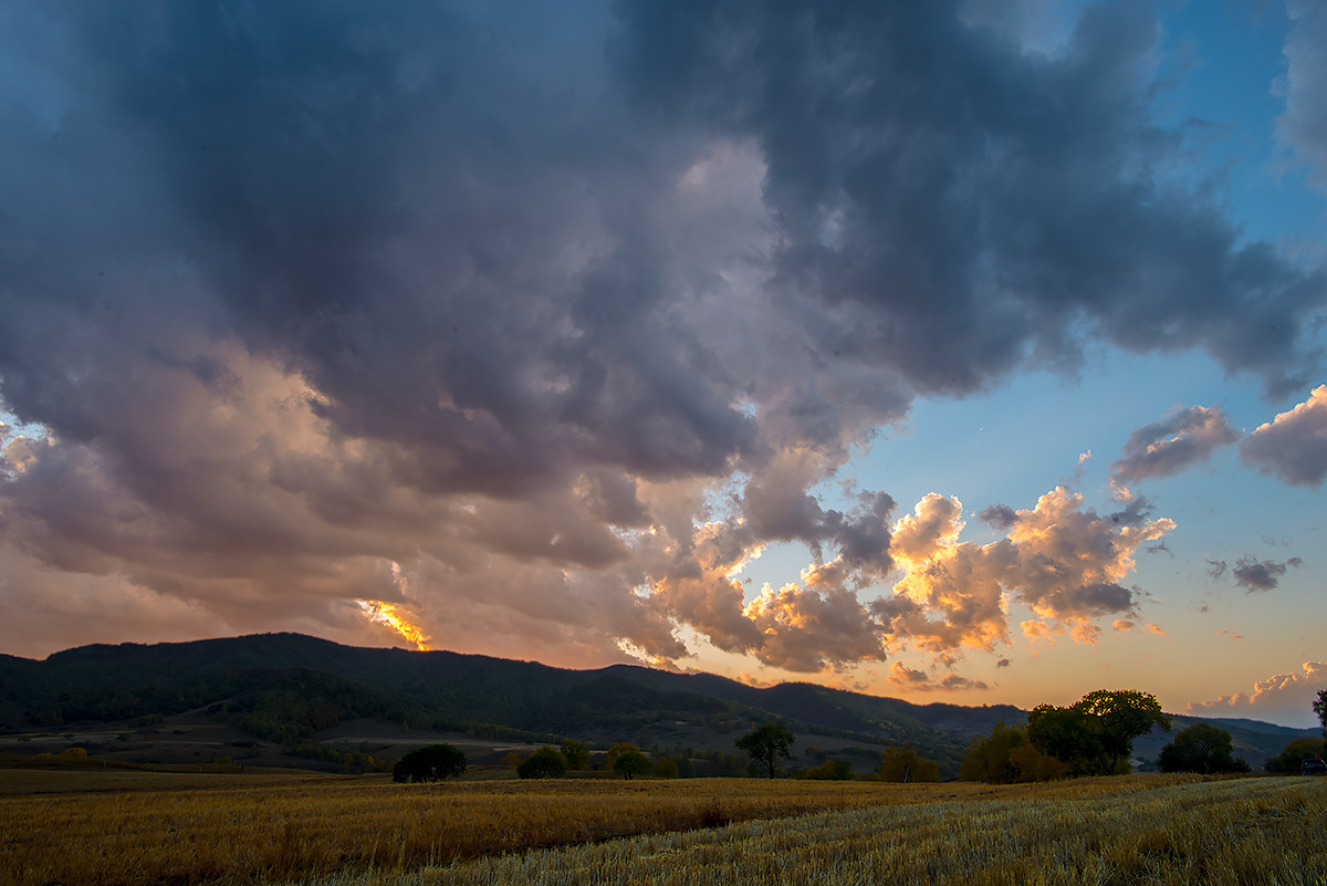 笑婆婆坝上行----蛤蟆坝的风光（三）