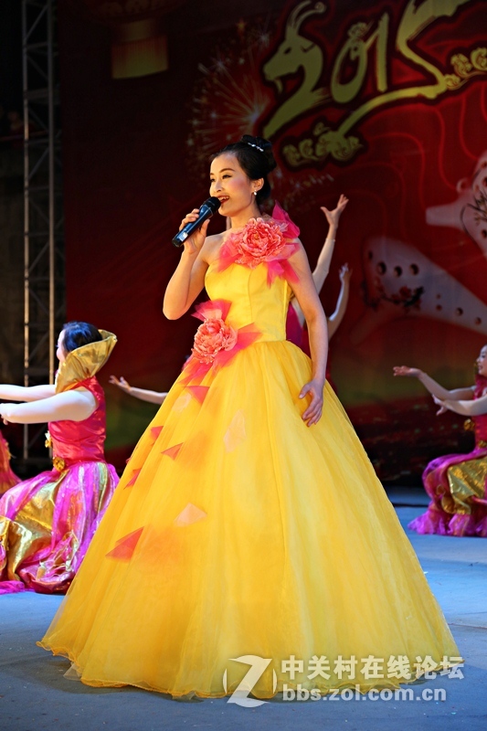 2015陶笛音乐晚会（10幅）