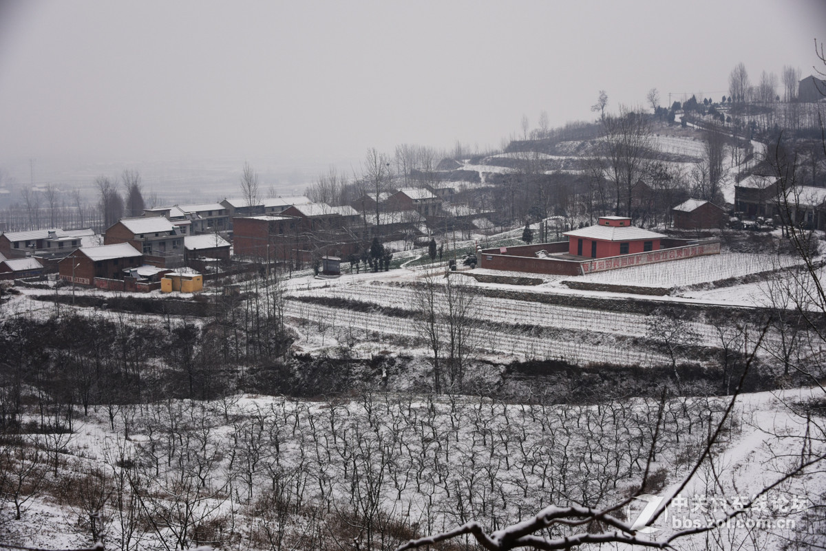 盼了一冬   终于见到久违的雪