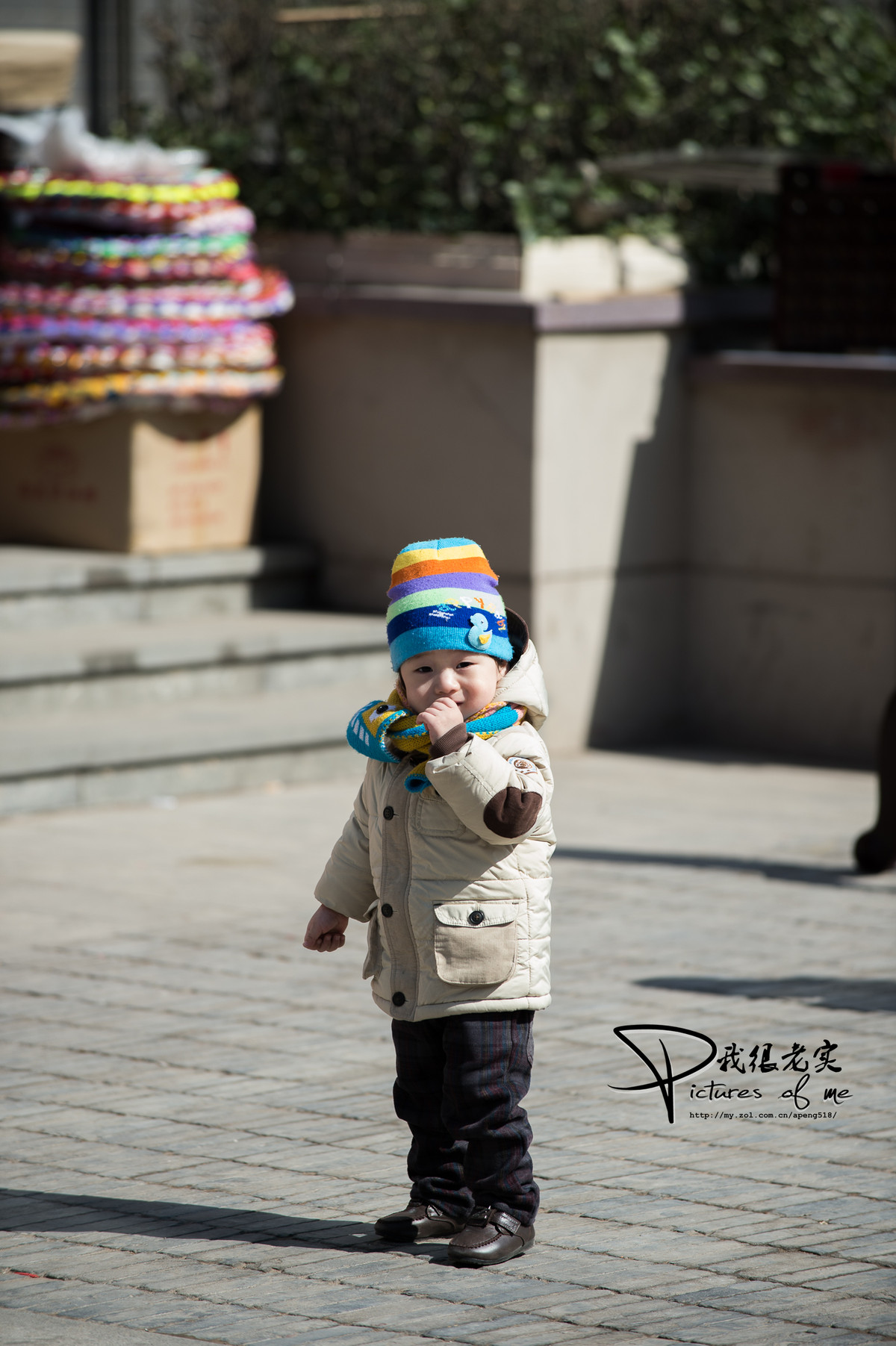 大刚炮抓拍一组