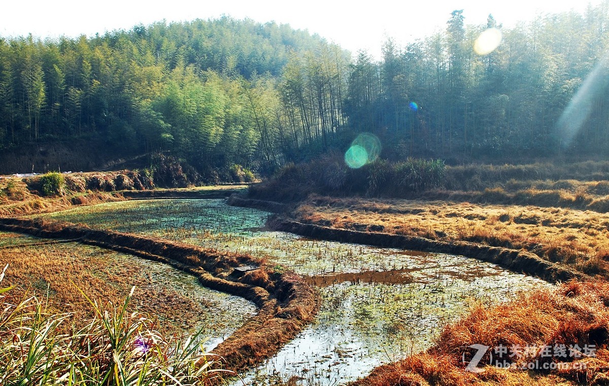 #寻找尼康镜头中的最美中国#郊游随拍