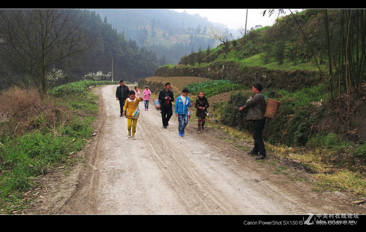 故乡！故乡.......