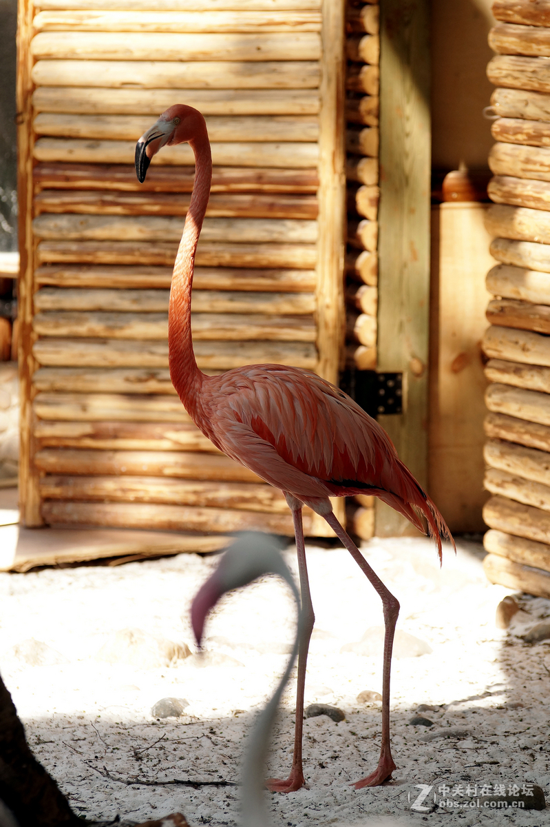 昆明圆通山随拍