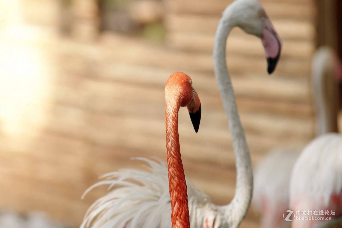 昆明圆通山随拍