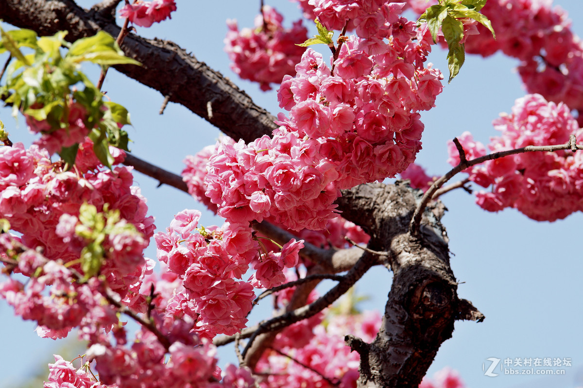昆明圆通山随拍